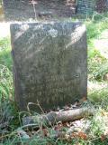 image of grave number 195611
